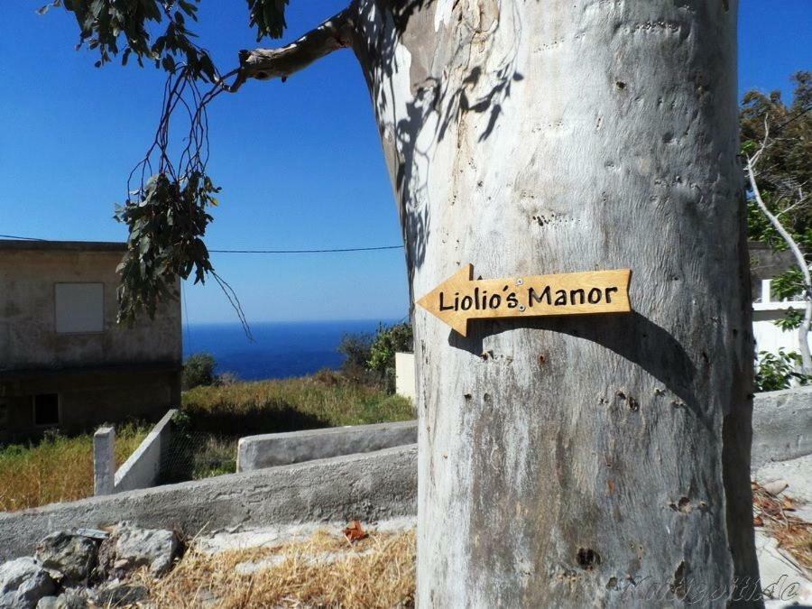 Вілла Liolio'S Manor Agalianos Екстер'єр фото